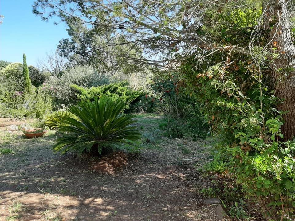 Mas Provencal Au Cannet Des Maures Le Cannet-des-Maures Buitenkant foto